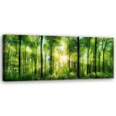 Leinwandbild, Sonnenschein im Wald Landschaft 