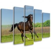 Leinwandbild 5 teilig, Pferd Galoppierende Wiese 