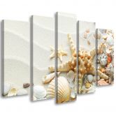 Wandbild 5-teilig, Muscheln Strand Sand Beige 