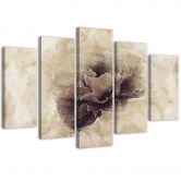 Leinwandbild 5 teilig, Rose Blume Beige Natur 