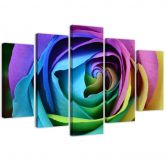 Leinwandbild 5 teilig, Rose Blume Bunt 