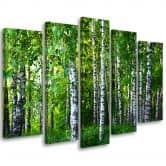 Leinwandbild 5 teilig, Birkenwald Grün 