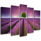 Leinwandbild 5 teilig, Lila Wiese Blumen 