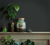 Vliesbehang effen modern in zwart  