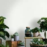 Almindeligt tapet, non-woven Novamur Jackie hvid 