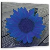 Leinwandbild, Blaue Sonnenblume 