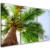 Leinwandbild 3-teilig, Tropische Palme  