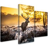 3 stykke lærredsprint, Deer Forest Sunset 