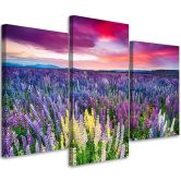 Leinwandbild 3-teilig, Lavendel Natur Blumen Lila 