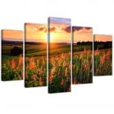 Leinwandbild 5 teilig, Sonnenuntergang Blumen Wiese 