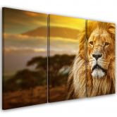 Leinwandbild 3-teilig, Löwe Afrika Savanne Landschaft 