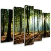 Leinwandbild 5 teilig, Waldgrün Natur 