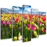 Leinwandbild 5 teilig, Bunte Tulpen Blumen  