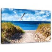 Leinwandbild, Weg zum Strand und eine Möwe 