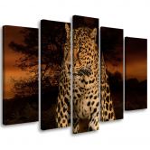 5-delige canvasprint Leopard Panther Cat Safari 