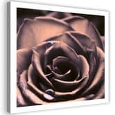 Tableau sur toile, Gouttes d'eau sur une rose 