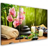 Leinwandbild 3-teilig, Zen-Steine Blumen 