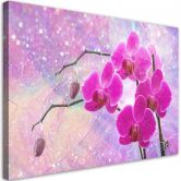 Leinwandbild, Abstrakt Rosa Orchideen Blumen 