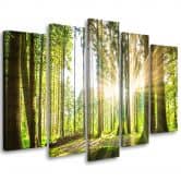 Leinwandbild 5 teilig, Wald Bäume Natur 