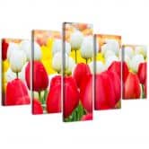 5-delige canvas print tulp rood wit 