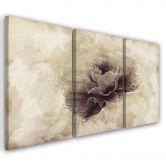 Leinwandbild 3-teilig, Rose Flower Vintage Beige 
