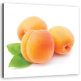 Leinwandbild, Aprikose Obst 