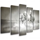 Leinwandbild 5 teilig, Galopp der weißen Pferde 