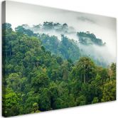 Leinwandbild, Wald im Nebel Landschaft 