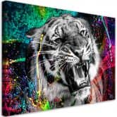 Leinwandbild, Tiger Animal Natur 