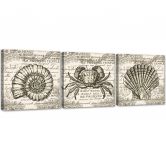 Leinwandbild 3-teilig, Retro-Muscheln 