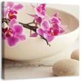 Leinwandbild, Rosa Orchideen Zen Spa 