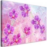 Leinwandbild, Orchideenblüten Abstraktion 