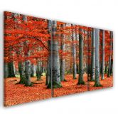 Leinwandbild 3-teilig, Wald Rot Herbst Natur 