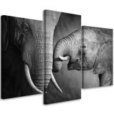 Leinwandbild 3-teilig, Elefant Schwarz und Weiß 