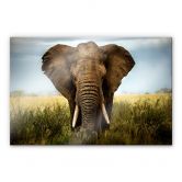 Acrylglas-Wandbild Ghizzi-Panizza - Begegnungen in der Savanne 