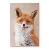 Acrylglasbild van Duijn - Zufriedener Fuchs 
