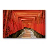 Acrylic print Asian garden 