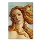 Acrylglasbild Portrait der Venus - Inspiriert von Botticelli 