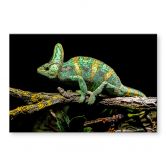 Tableau sur verre acrylique Brown - Caméléon 