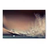 Tableau en verre acrylique Story of a Waterdrop - Dmitry 