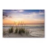 Plexiglas Duinen bij zonsondergang 