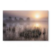 Acrylglasbild Nebliger Herbsttag - Eisenmann 