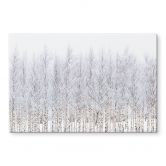 Tableau en verre acrylique Forêt de bouleaux en hiver - EMELIEmaria 