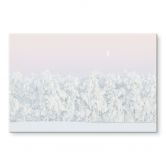 Tableau en verre acrylique Forêt d'hiver enneigée avec lune - EMELIEmaria 