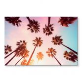 Acrylglasbild California Dreaming mit Palmen-Blick - Hugonnard 