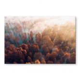 Tableau sur verre acrylique Forêt d'automne dans le brouillard - Ioricon 