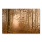 Tableau en verre acrylique Brume et lumière dans la forêt d'automne - Maier 
