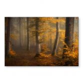 Acrylglasbild Goldene Blätter im nebligen Wald - Maier 