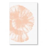 Acrylglasbild Abstrakte Muschel in Pfirsichfarben | Peach Fuzz - Martina 