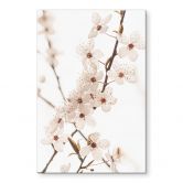 Tableau en verre acrylique Branche avec fleurs de cerisier blanches - Sisi & Seb 